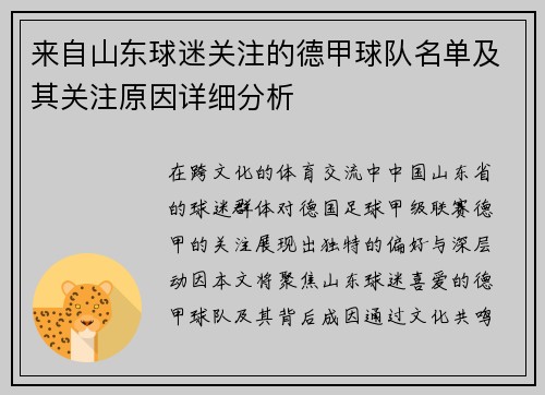 来自山东球迷关注的德甲球队名单及其关注原因详细分析